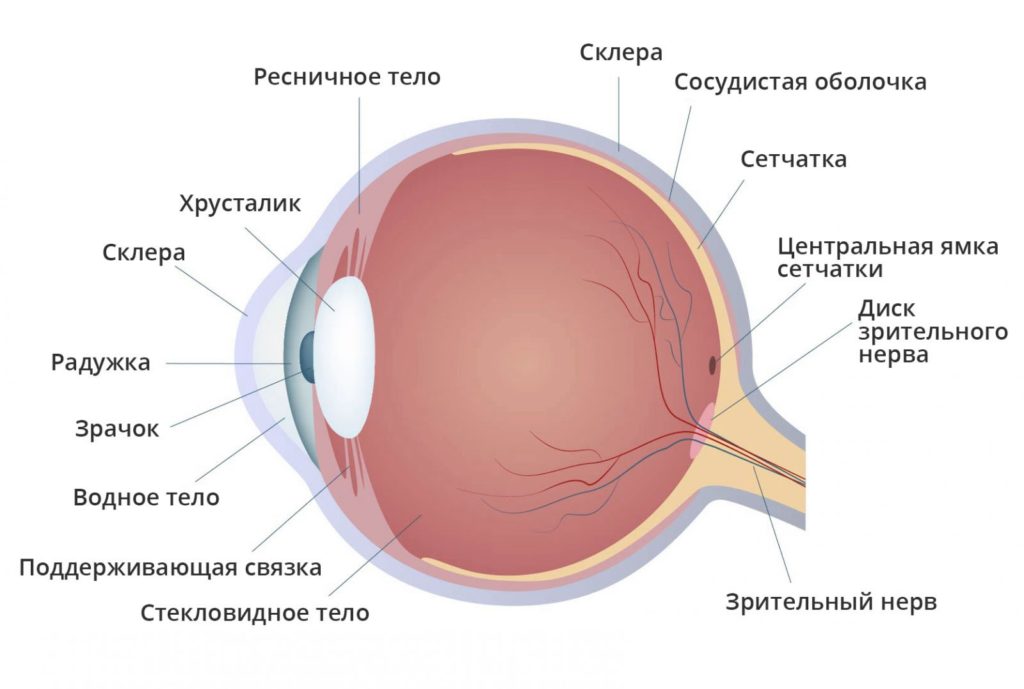 symp04