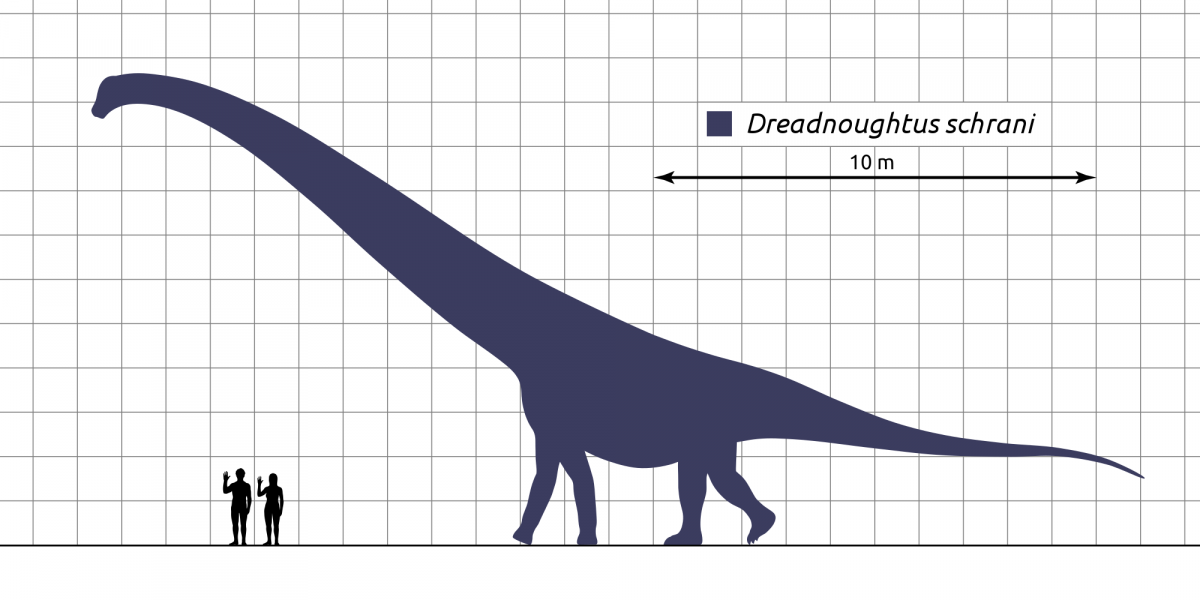 Пять самых маленьких и пять самых больших динозавров