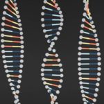 Изобретен метод визуализации генетической мутации