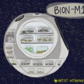 bion-m1-interpretation1
