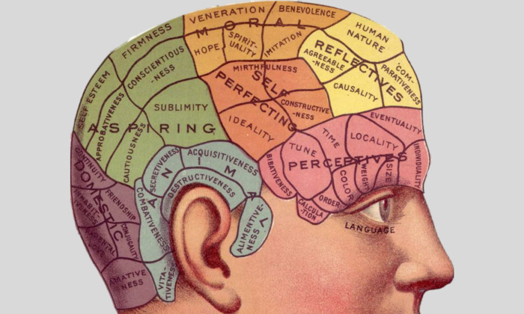 brain0