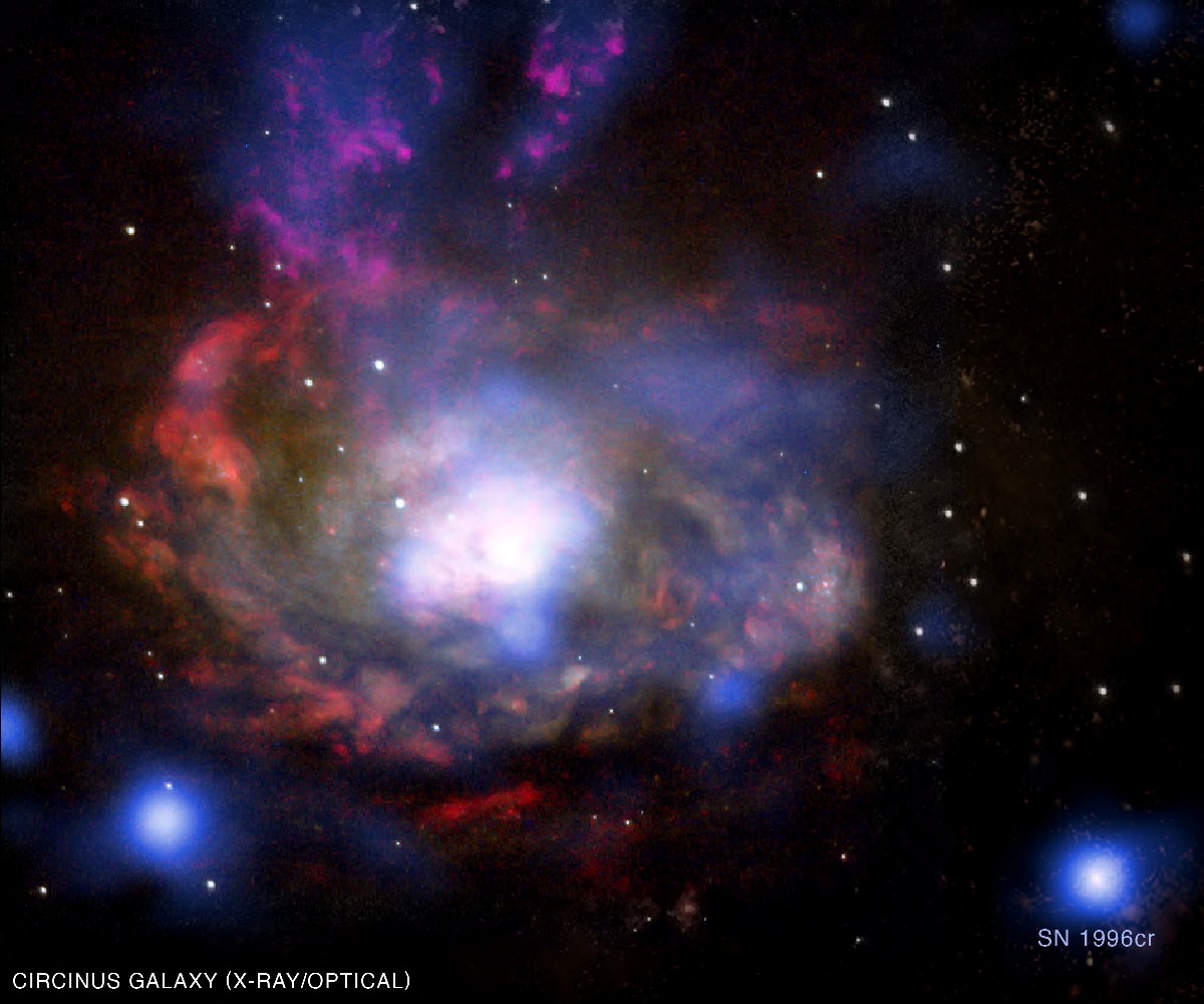 circinus-galaxy-supernova-sn-1996cr