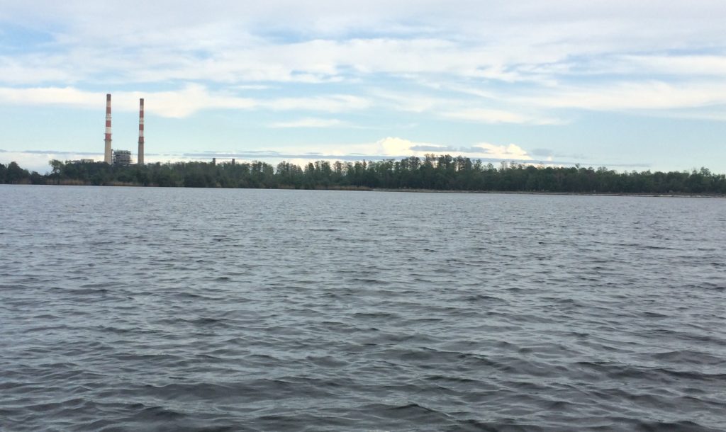 fishbonesyie