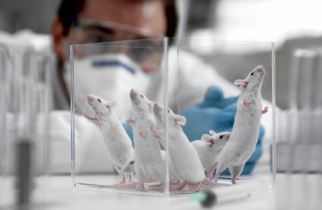 mice0