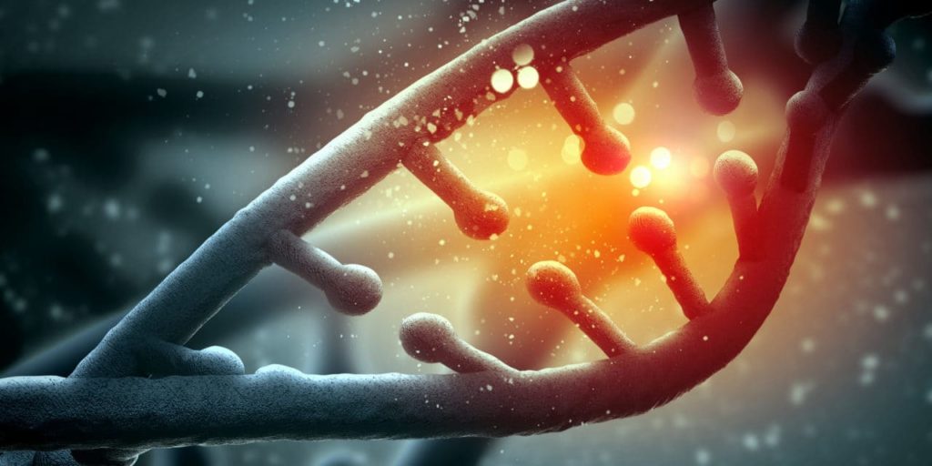 mthfr-protein-genetics-and-homocysteine-levels-1280x6401