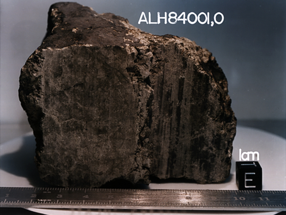 Марсианский метеорит ALH 84001.
