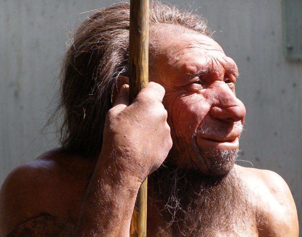 1455782607_neandertalcy