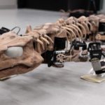 Ученые оживили скелет существа, жившего 290 миллионов лет назад