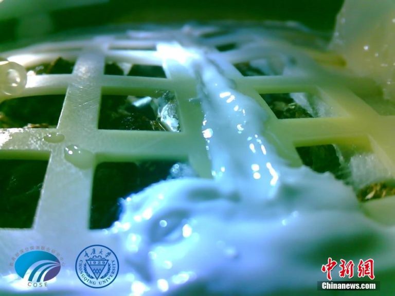 biosphere-first-release-pic-seeds-sprout-chongqing-university-cns1