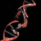 dna-damage-cancer-caused-by-ionizing-radiation-identified1