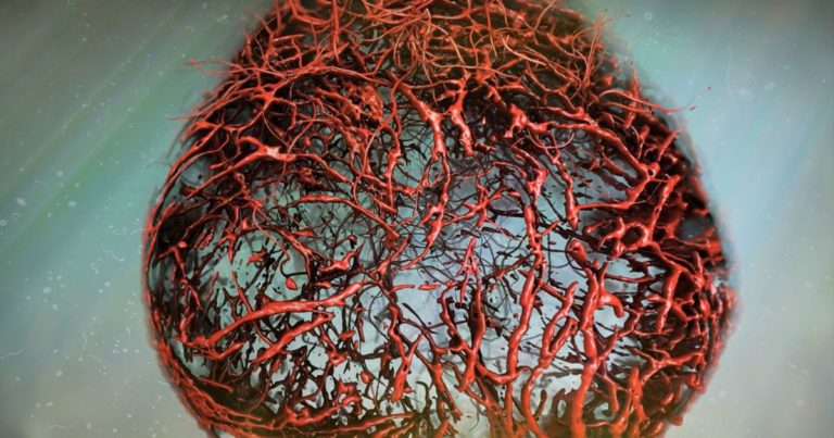 lab-grown-blood-vessels-1200x630