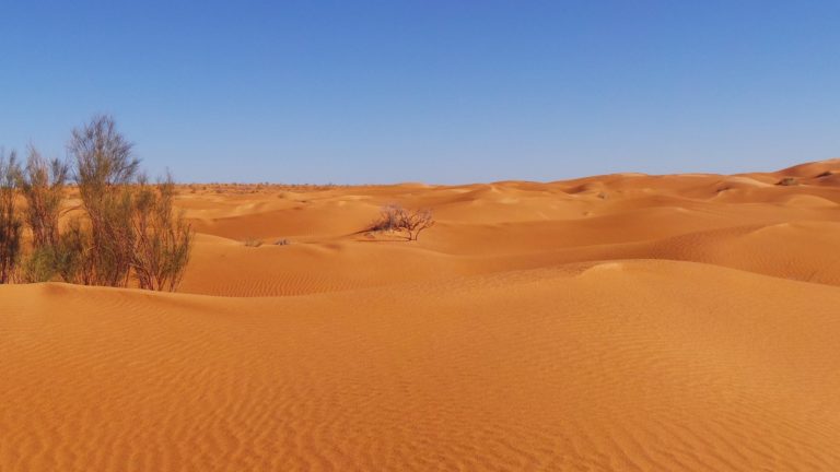 sahara-desert-4-1140838