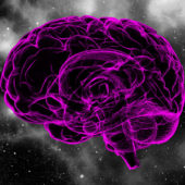 Больцмановский мозг