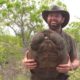 Найдена черепаха, вид которой считался вымершим