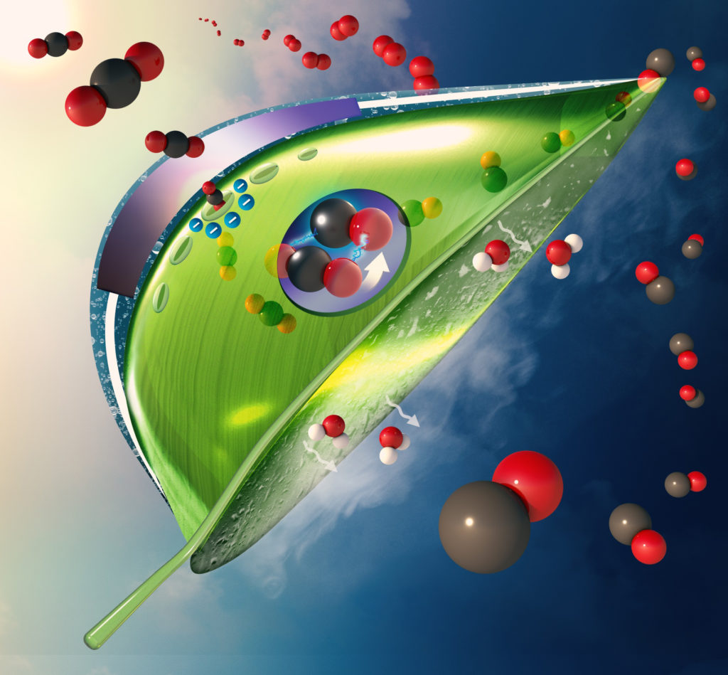 acs_sustainable-chemistry-engineering-submission_final_rgb_8-bit_jpeg1