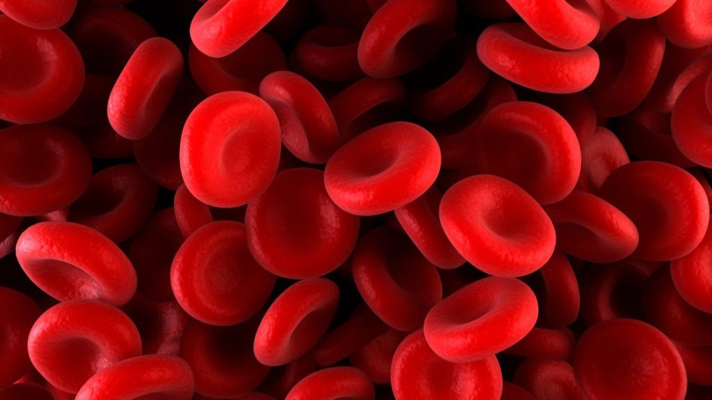 blood2