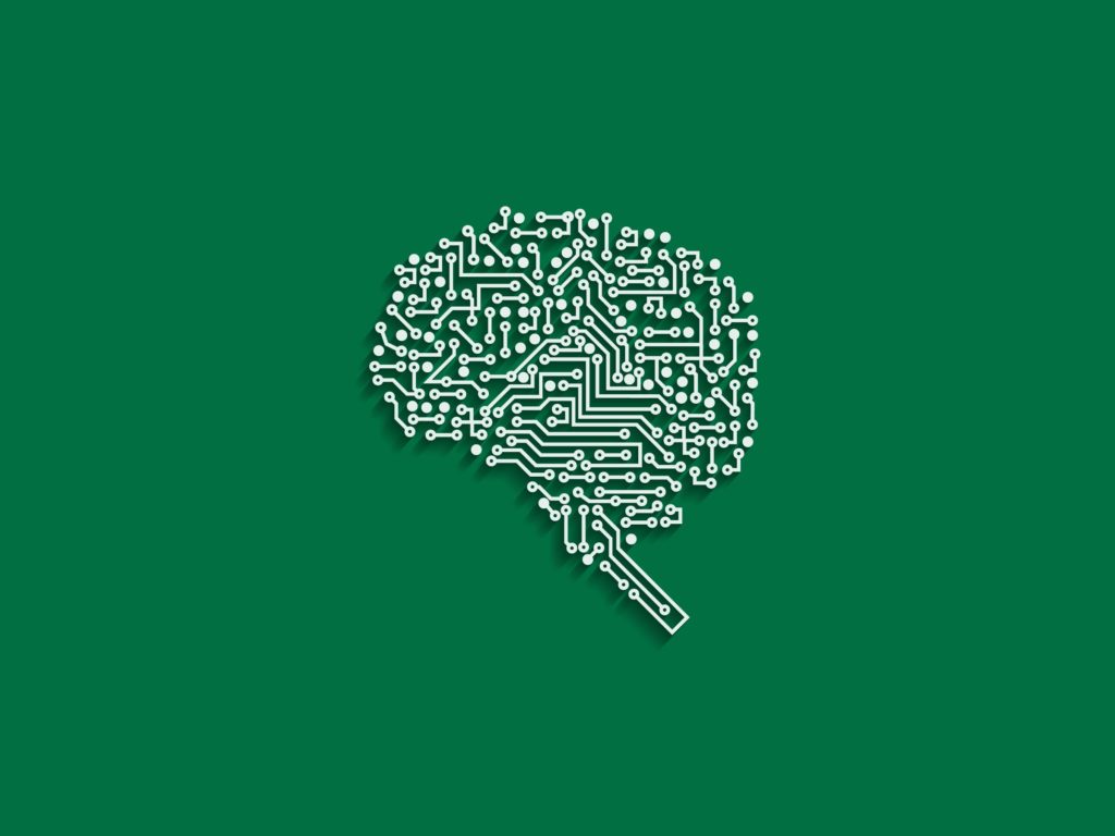 braincircuitry-629142344-converted
