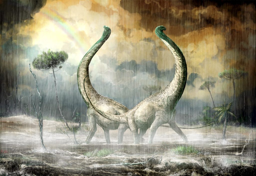 dino0