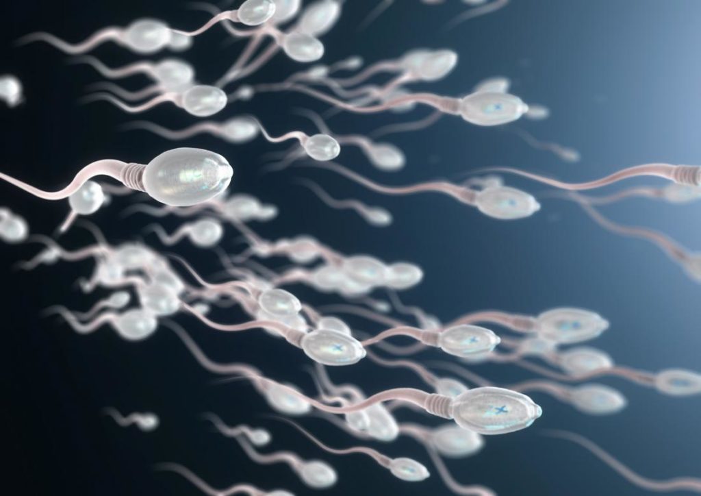 sperm0