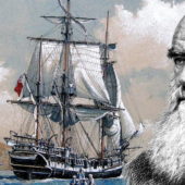 Чарльз Дарвин и его корабль "Бигль"