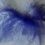 Спутник ЕКА заснял «синюю» структуру пыльных вихрей на Марсе