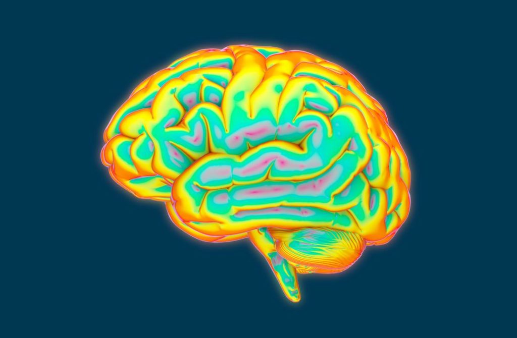 brain-illustration
