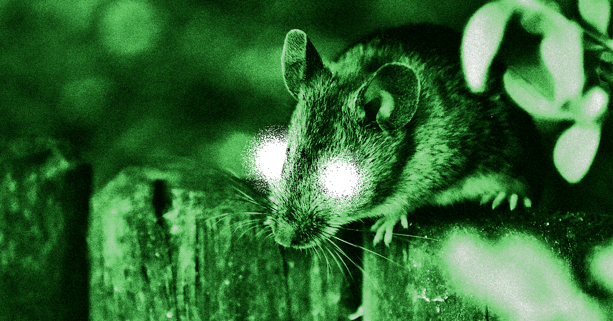 mice-night-vision-nanoparticles-1200x6301