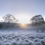 Исследователи выяснили, что к 2050 году из-за изменения климата в Австралии не будет зимы