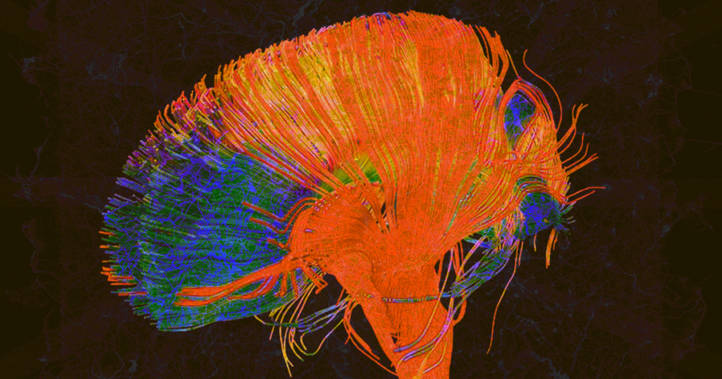 self-assembling-circuits-resemble-brain-stores-memories2-1200x6301