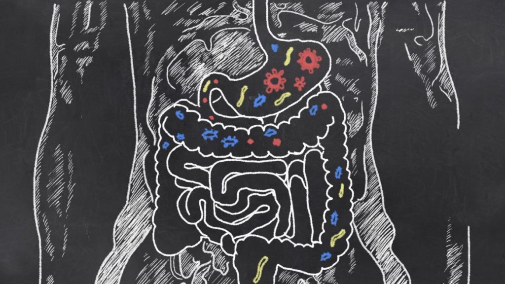 shutterstock_gut-1168x6571