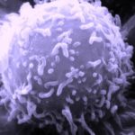 Магнитные наночастицы научили «сжигать» раковые клетки