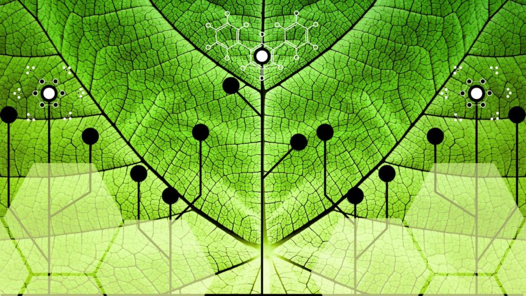 cyplant