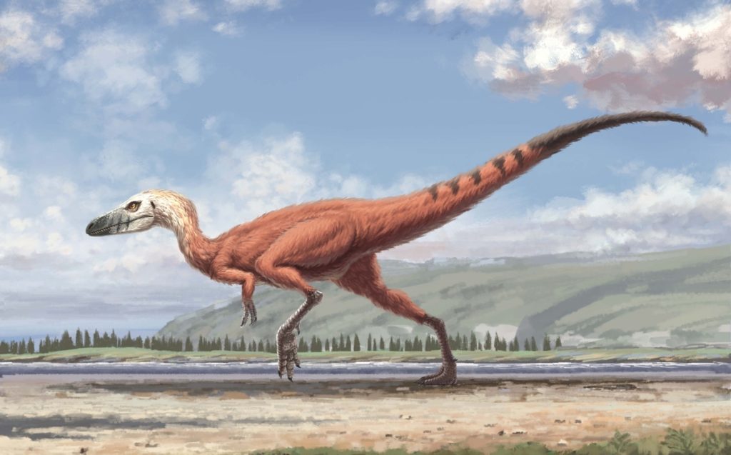 dino0