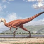 Корейские палеонтологи нашли отпечатки лап самого мелкого динозавра