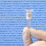 Биологи представили синтетический геном, полученный на компьютере
