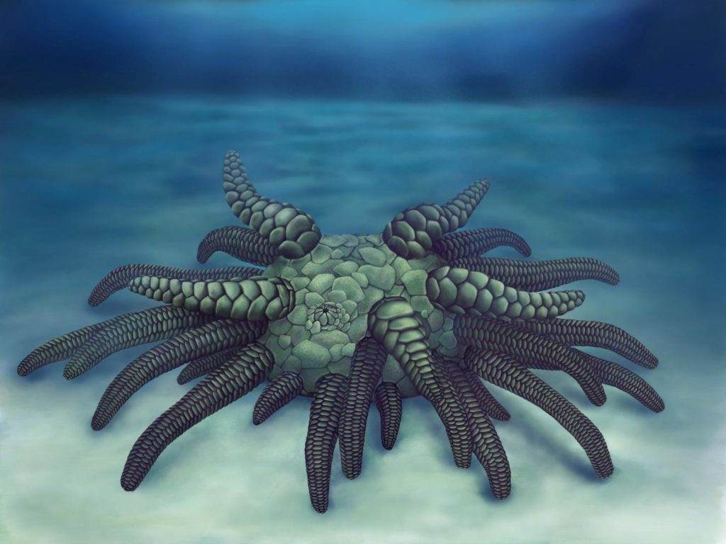 ktulhu0
