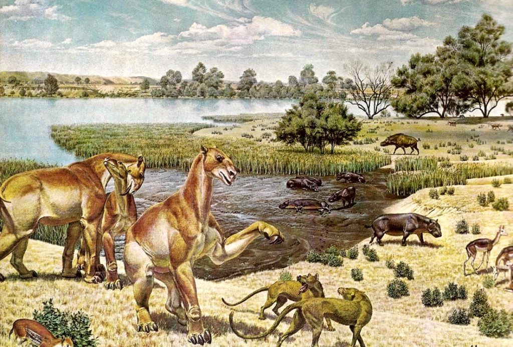 pliocene0