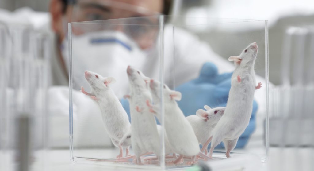 mice0