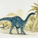 Динозавры могли переходить от ходьбы на четырех лапах к двум в течение жизни
