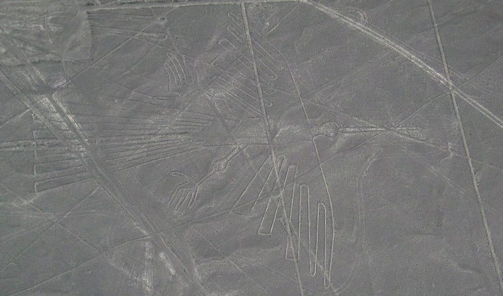 1200px-nazca_bird