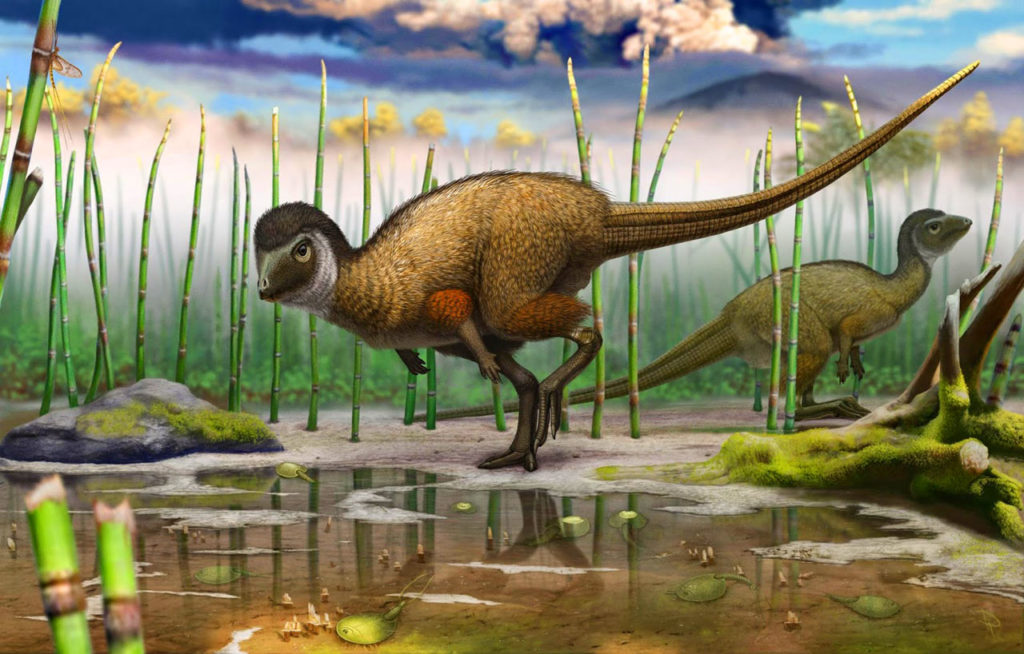 dino0