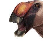 Палеонтологи идентифицировали «странного» динозавра с архаичными особенностями
