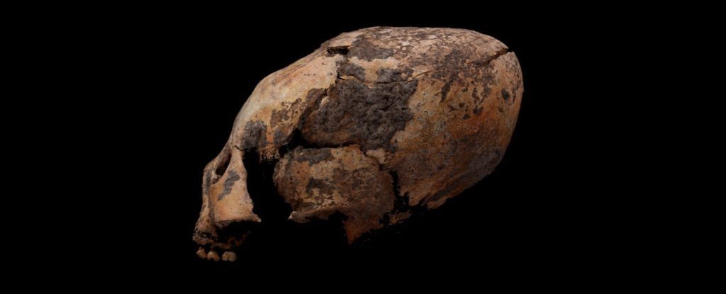 long-skull_1024
