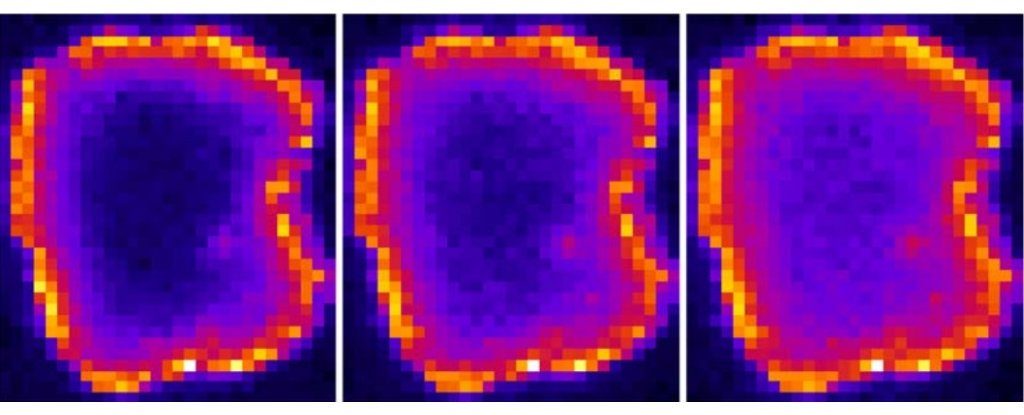 majorana-fermion_1024