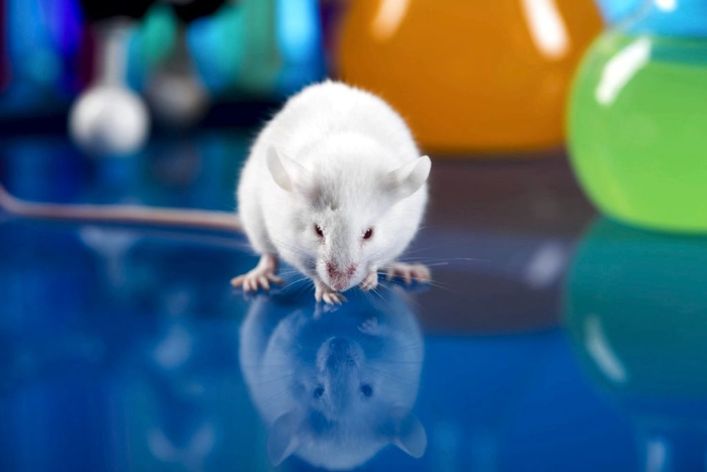 mouse0