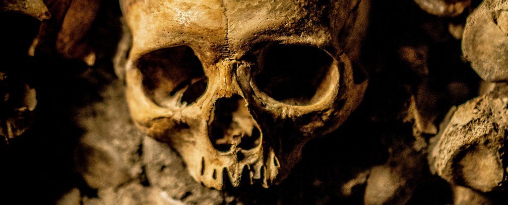 016-inca-trophy-skull-0_1024