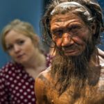 Неандертальцев могла погубить «детская» болезнь