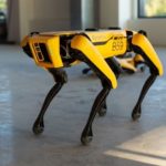 Boston Dynamics выпустила роботов-собак Spot на рынок