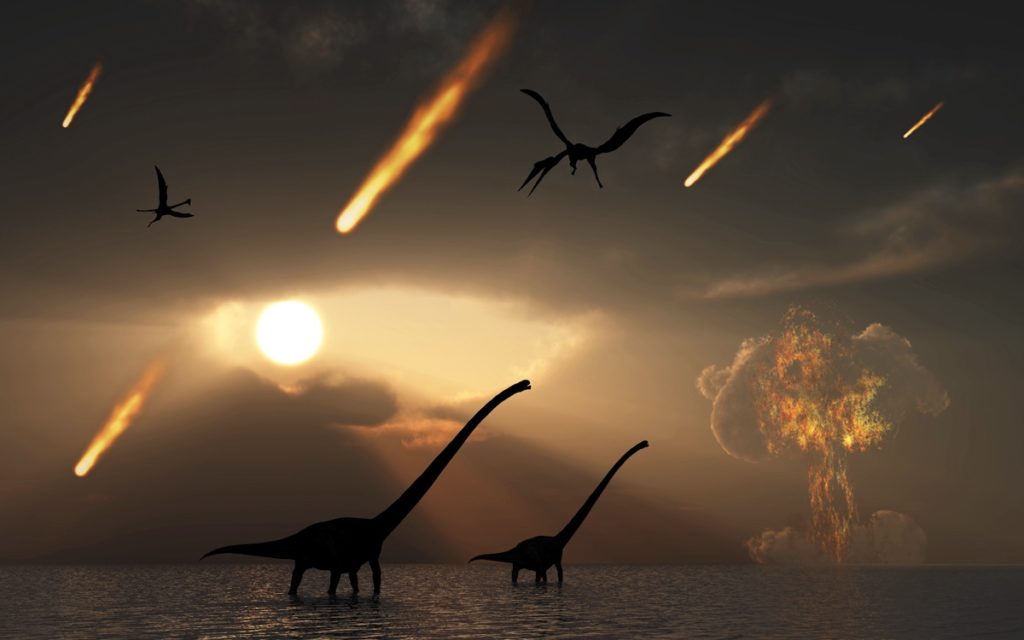 dino0