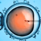 human-embryo-editing-640x0-750x435